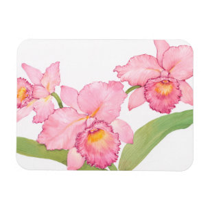 Pink Exotic Watercolor Flowers Magnet