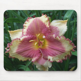 Pink Eyed Daylily Mousepad