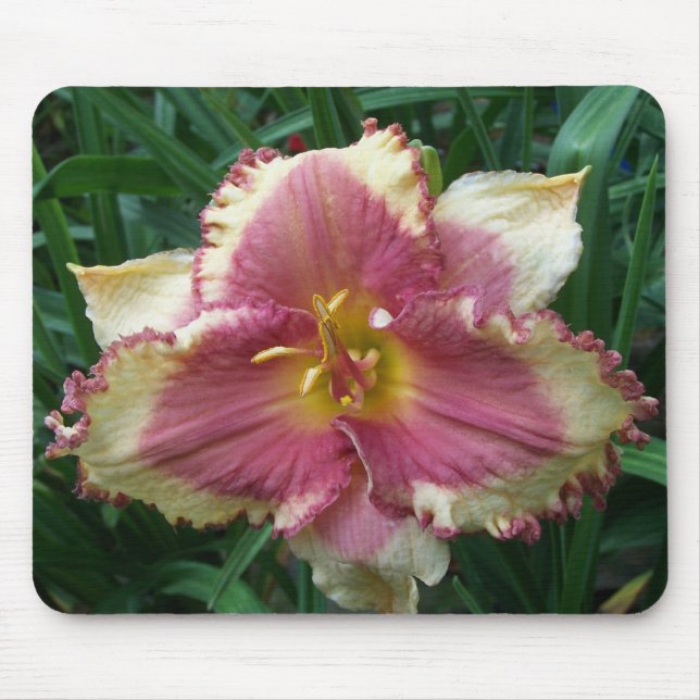 Pink Eyed Daylily Mousepad (Front)