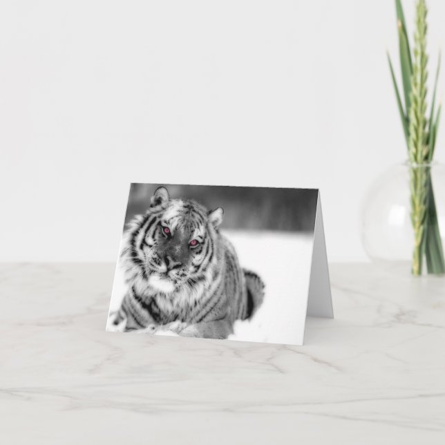 Pink Eyed Tiger Card (Front)