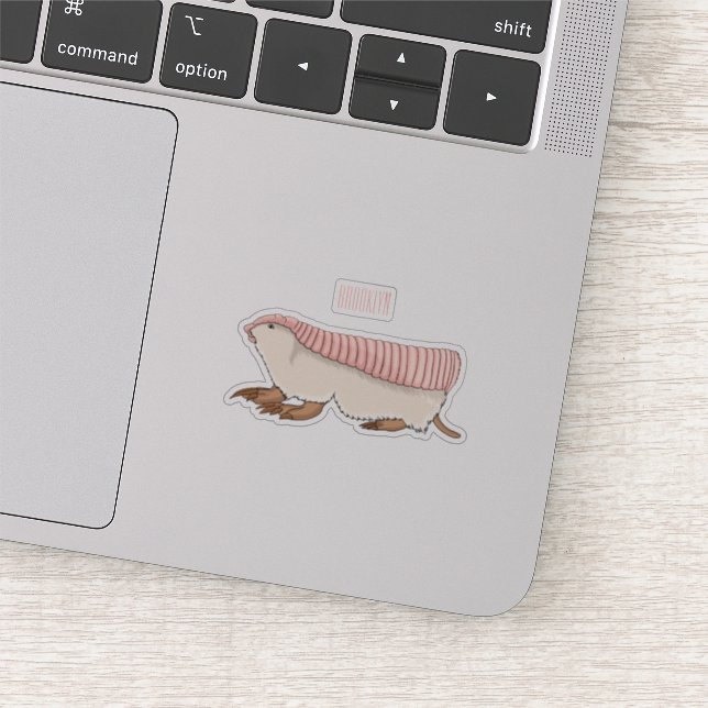 Pink fairy armadillo cartoon illustration (Detail)