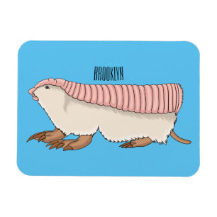 Pink fairy armadillo cartoon illustration magnet