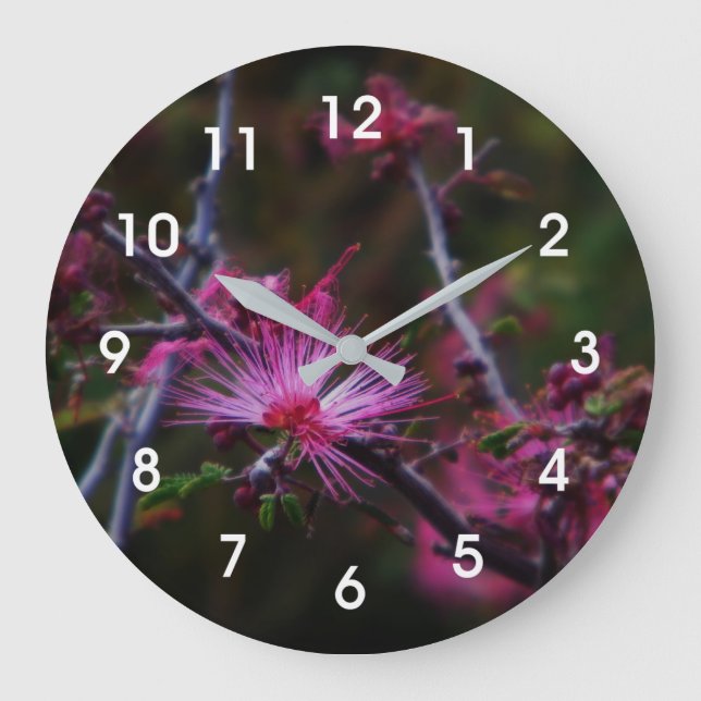 Pink Fairy Duster Large Clock (Front)