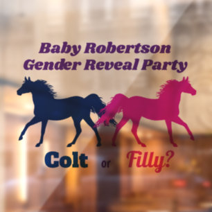 Pink Filly or Blue Colt Gender Reveal Party 