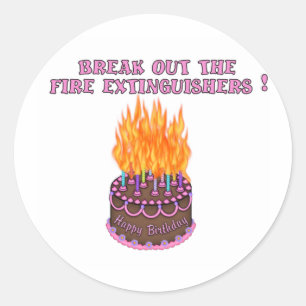Pink Fire Extinguishers Birthday Cake Classic Round Sticker