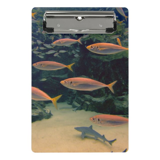Pink Fish Shoal Underwater Photo Mini Clipboard (Front)