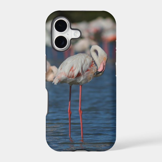 Pink flaming iphone (Back)