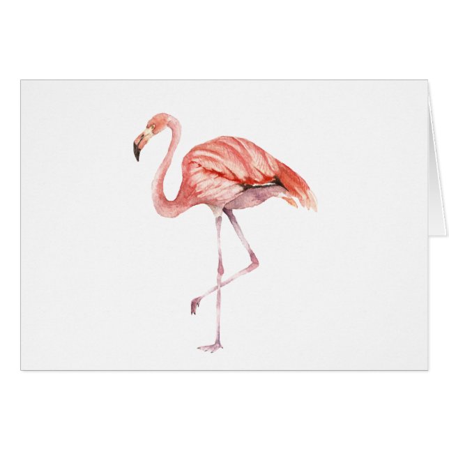 Pink Flamingo (Front Horizontal)