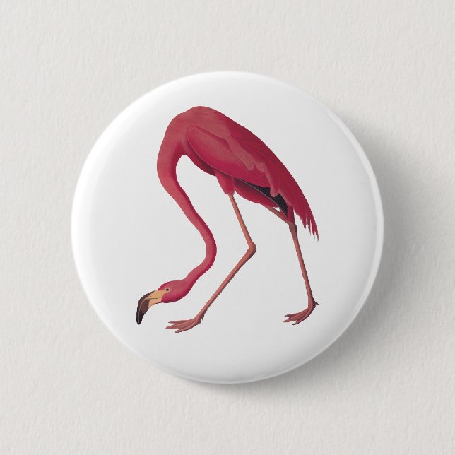 Pink Flamingo 6 Cm Round Badge (Front)