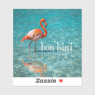 Pink flamingo abc islands