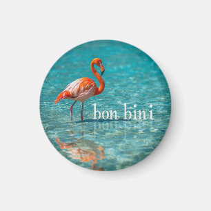 Pink flamingo abc islands magnet