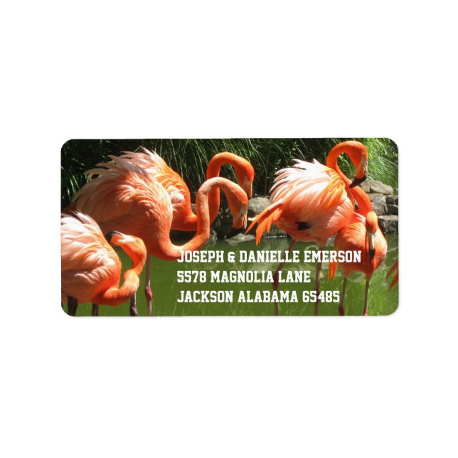 Pink Flamingo Address Labels (Front)