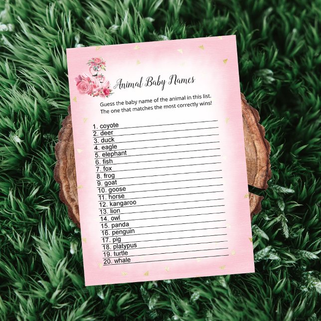 Pink Flamingo Ballerina Animal Baby Names Game Invitation (Creator Uploaded)