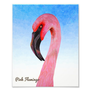 Pink Flamingo Bird Gouache Watercolor Painting Photo Print