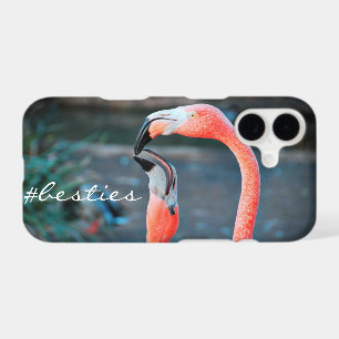 Pink Flamingo Birds Photo Besties Friends Script