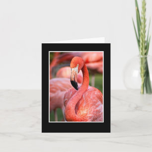 Pink Flamingo Blank Note Card