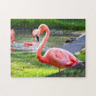 Pink Flamingo California. Jigsaw Puzzle