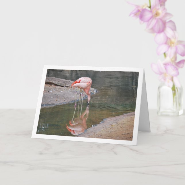 Pink Flamingo Card (Orchid)