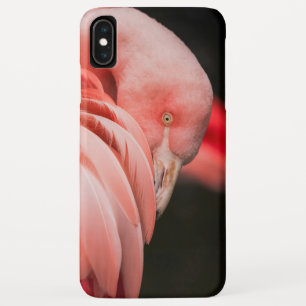 Pink Flamingo iPhone XS Max Case