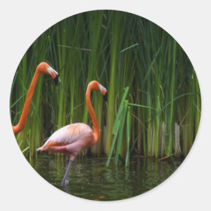 PINK FLAMINGO CLASSIC ROUND STICKER