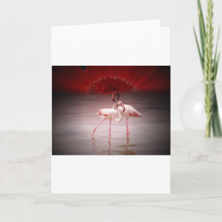 Pink Flamingo Dance Holiday Card