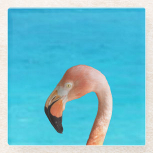 Pink flamingo face against blue water on a glass coaster