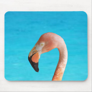 Pink flamingo face against blue water on a mouse pad