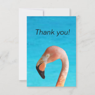 Pink flamingo face against blue water on a thank you card