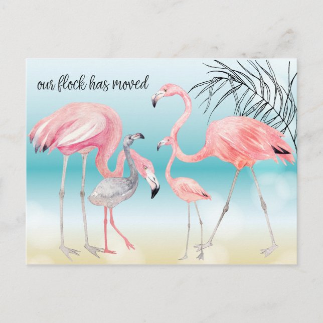 Pink Flamingo Family on Bokeh Beach New Address Announcement Postcard (Front)