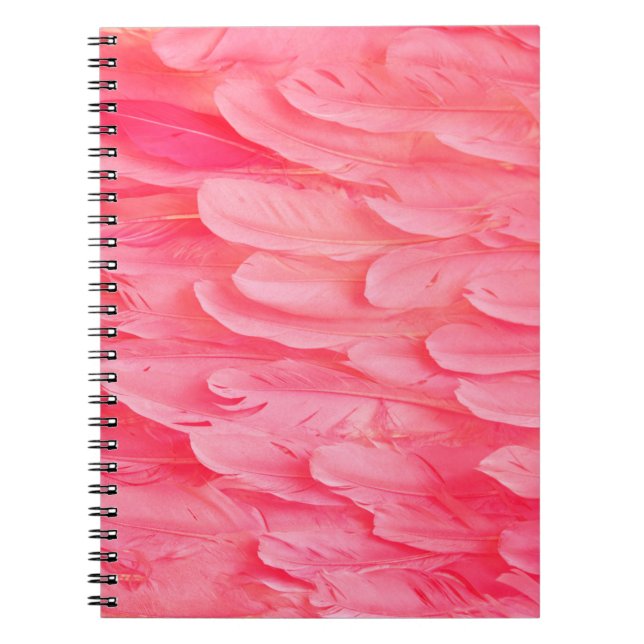 Pink Flamingo Feathersflamingo,feather,pink,textur Notebook (Front)