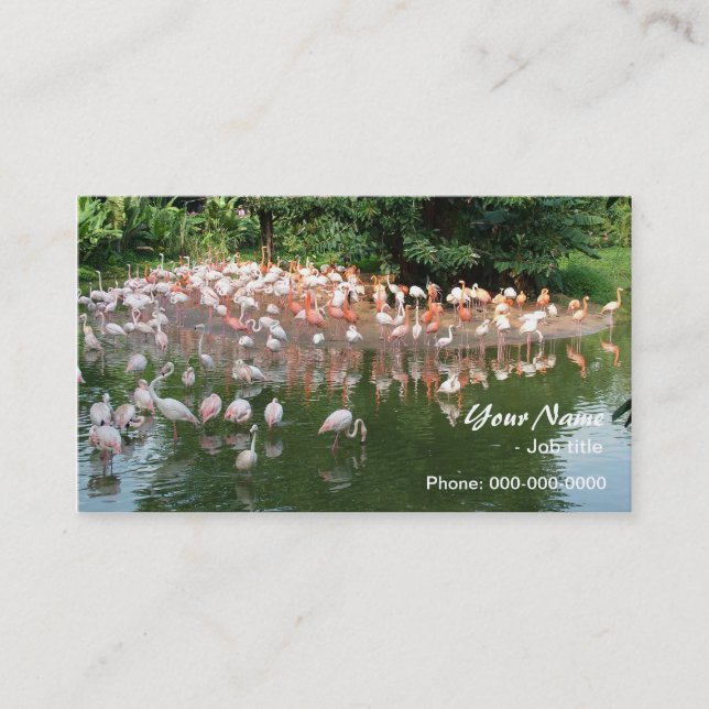 pink flamingo flock business card (Front)