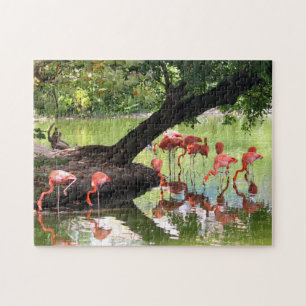 Pink Flamingo Flock Wildlife Photo Jigsaw Puzzle