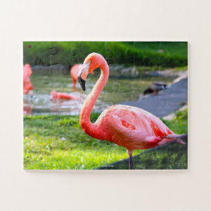 Pink Flamingo Florida. Jigsaw Puzzle