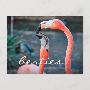 Pink Flamingo Friends Photo Besties Stylish Script Postcard