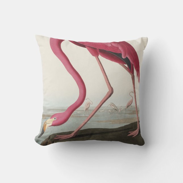 Pink Flamingo from Birds of America Cushion (Front)