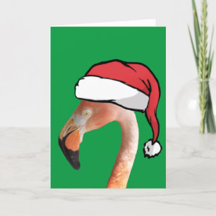 Pink Flamingo in red cartoon Santa hat Holiday Card