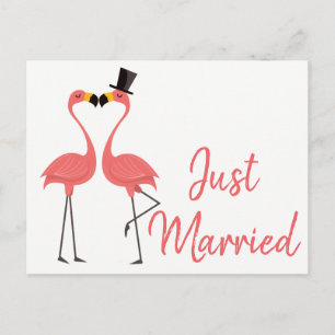 Pink Flamingo Just Married Tropical Wedding Love Announcement Postcard