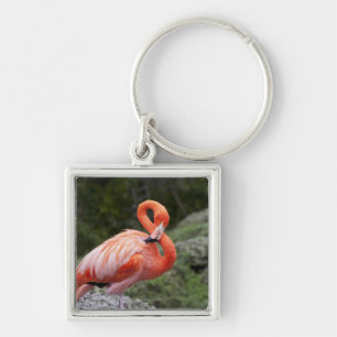 Pink Flamingo Key Ring