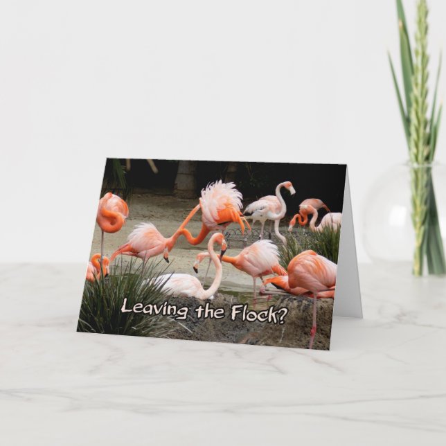 Pink Flamingo Leaving The Flock Farewell Card (Front)