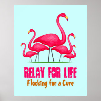 Pink Flamingo Lingo Poster