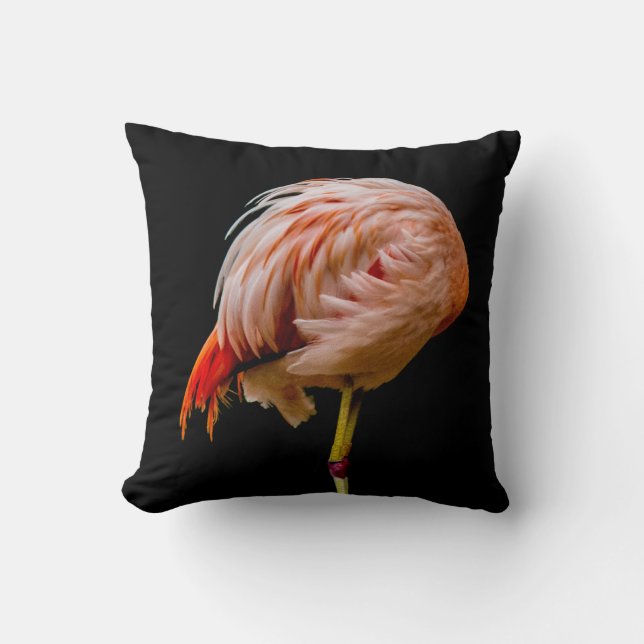 Pink Flamingo Lollipop Cushion (Front)