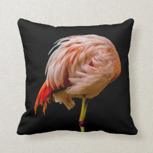 Pink Flamingo Lollipop Cushion