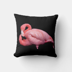 Pink Flamingo on Black Cushion