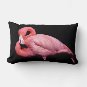 Pink Flamingo on Black Lumbar Cushion