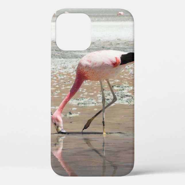 PINK FLAMINGO ON BODY OF WATER Case-Mate iPhone CASE (Back)