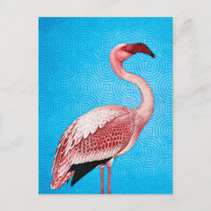 Pink Flamingo on Retro Blue Pattern Postcard