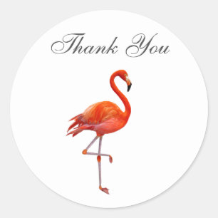 Pink Flamingo on White Background  Thank You Classic Round Sticker