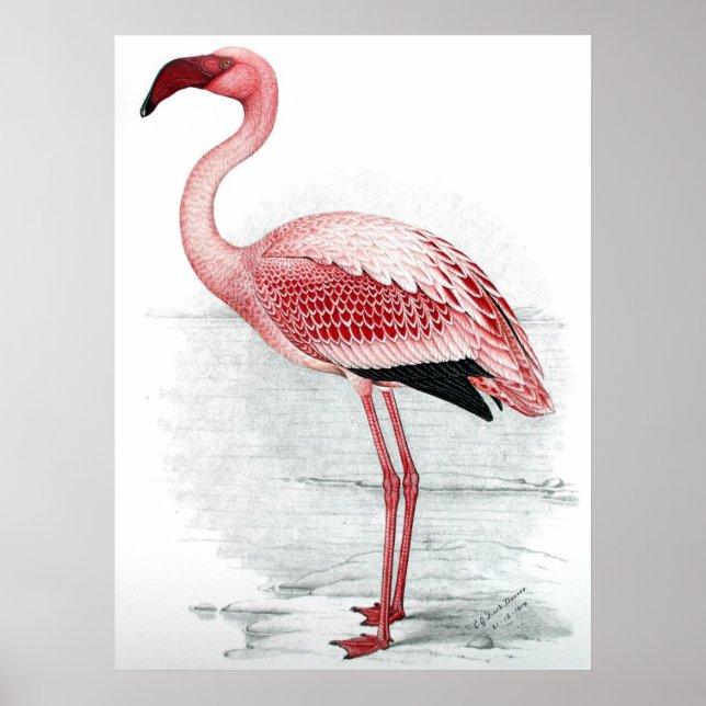 Pink Flamingo Painting Poster (Front)