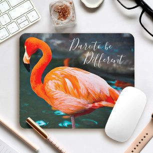 Pink Flamingo Photo Dare To Be Different Script Mouse Pad