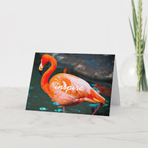 Pink Flamingo Photo Inspire Script Stylish Modern Card